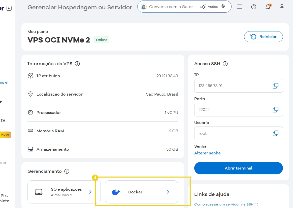 Configuração de VPS para gerenciamento de hospedagem ou servidor em nuvem no painel de controle com detalhes da sessão e opções de administração
