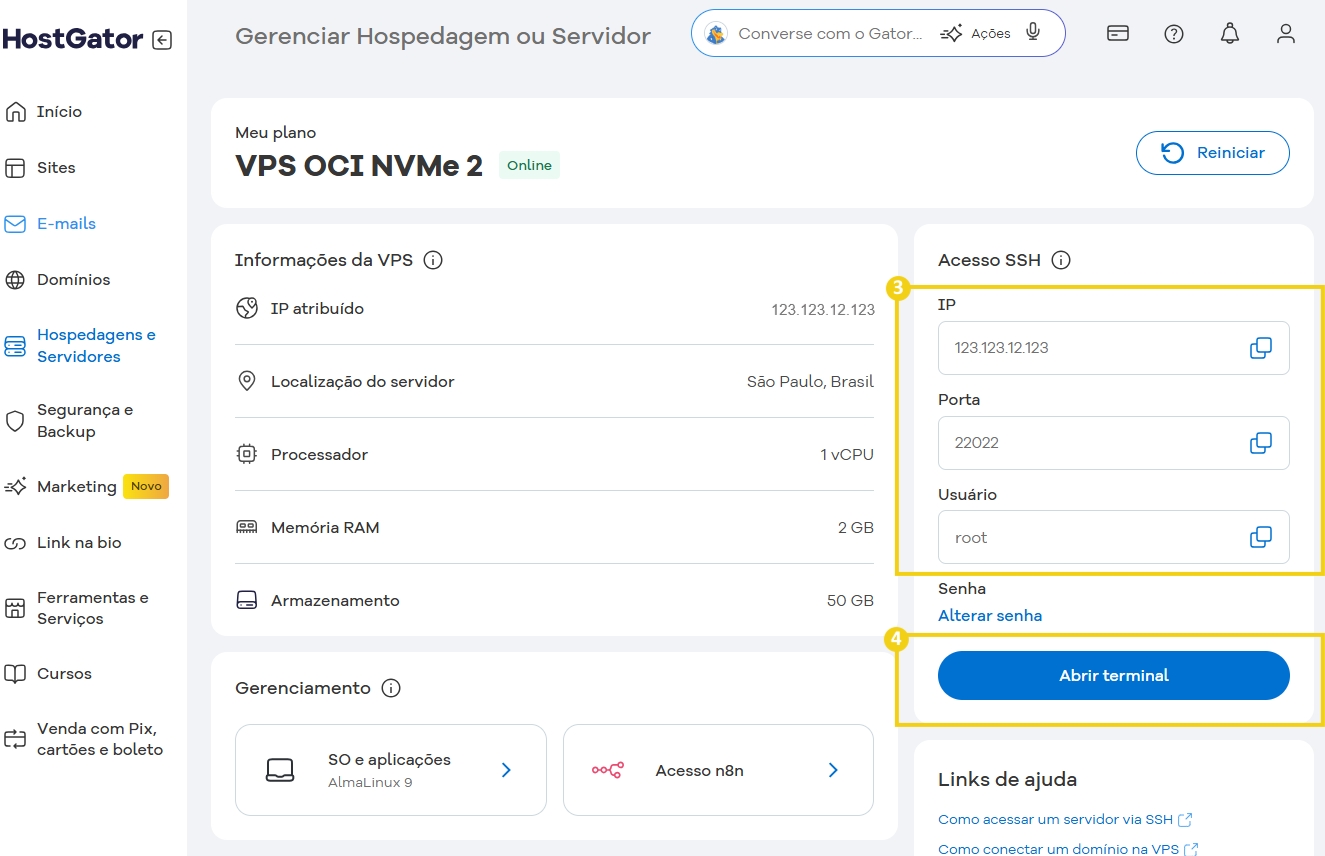 Configuração de VPS para gerenciamento de hospedagem ou servidor em nuvem no painel de controle com detalhes da sessão e opções de administração