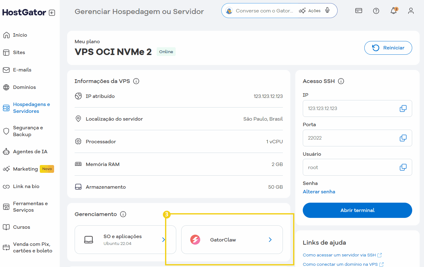 Screenshot da painel de gerenciamento de hospedagem no HostGator, mostrando detalhes da VPS, IP, sistema operacional Ubuntu 22.04, com GatorClaw ativado.
