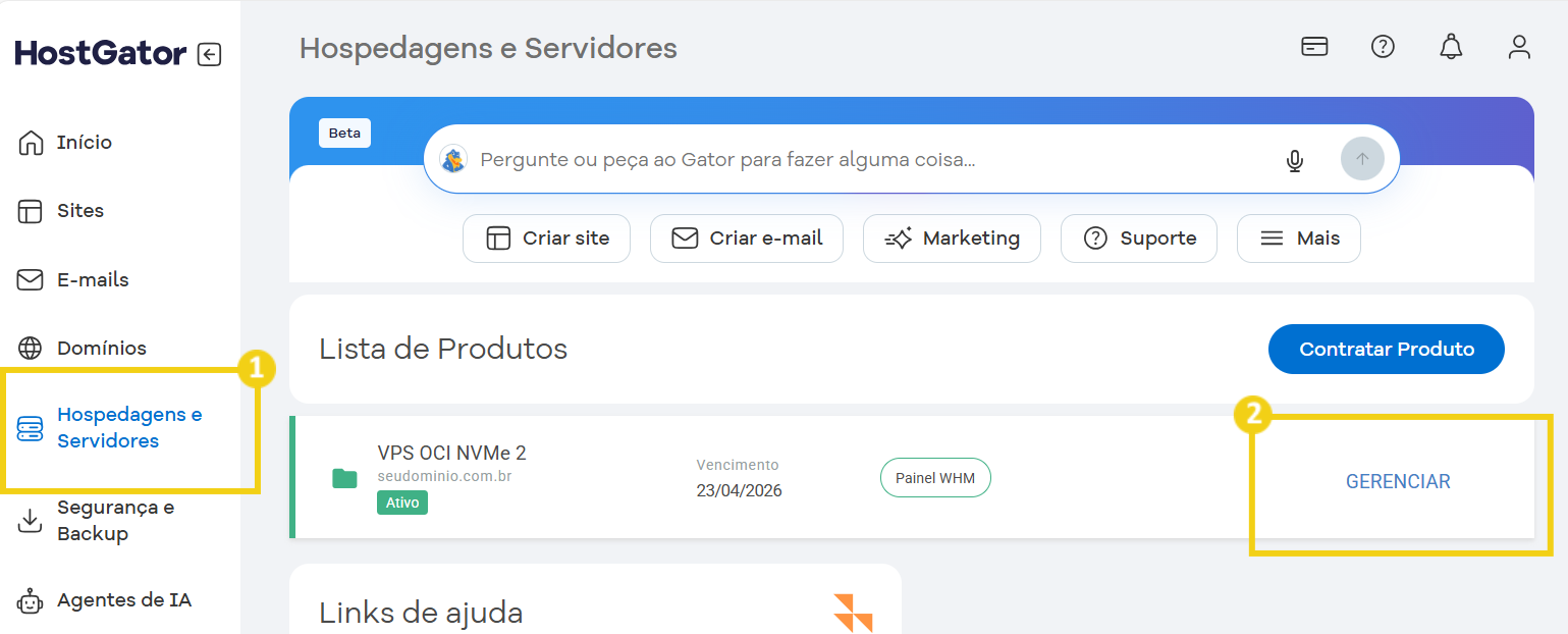 imagem do painel financeiro da HostGator, listando os servidores contratados, com destaque no botão gerenciar