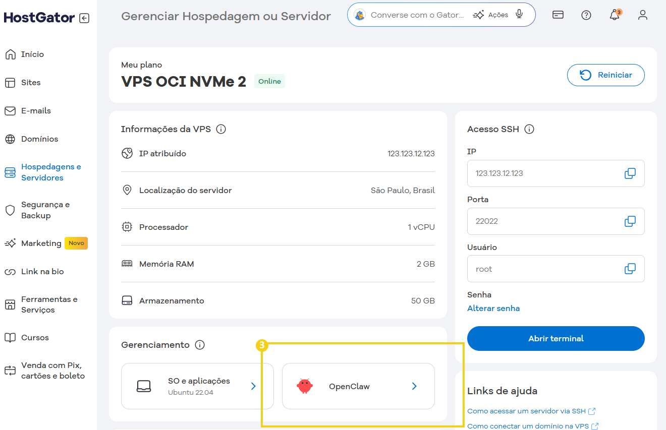 Screenshot da painel de gerenciamento de hospedagem no HostGator, mostrando detalhes da VPS, IP, sistema operacional Ubuntu 22.04, com OpenClaw ativado.