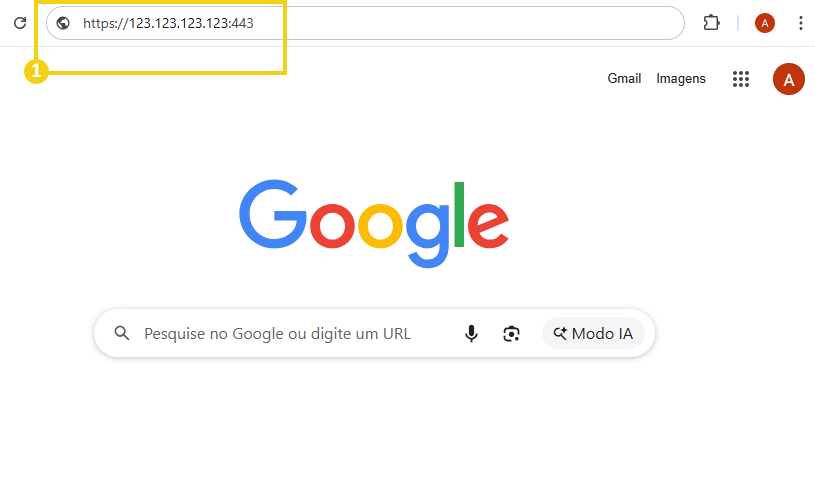 Imagem mostra a tela do navegador, onde deve ser inserido o IP do plano VPS mais a Porta que é 443