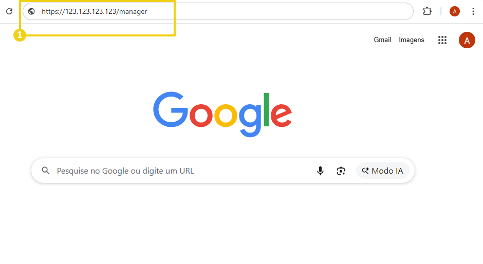 Imagem mostra a tela do navegador, onde deve ser inserido o IP do plano VPS mais a palavra manager