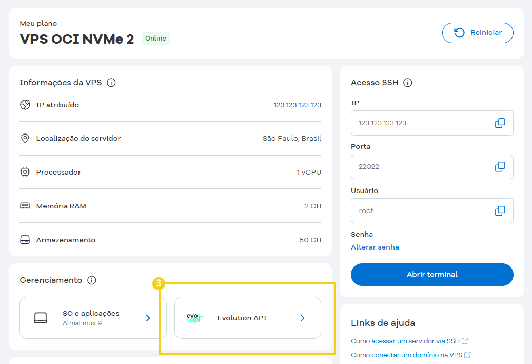 Imagem ainda do Portal do Cliente, na área de gerenciamento da VPS, com marcação no botão "Evolution Go" para acesso ao painel