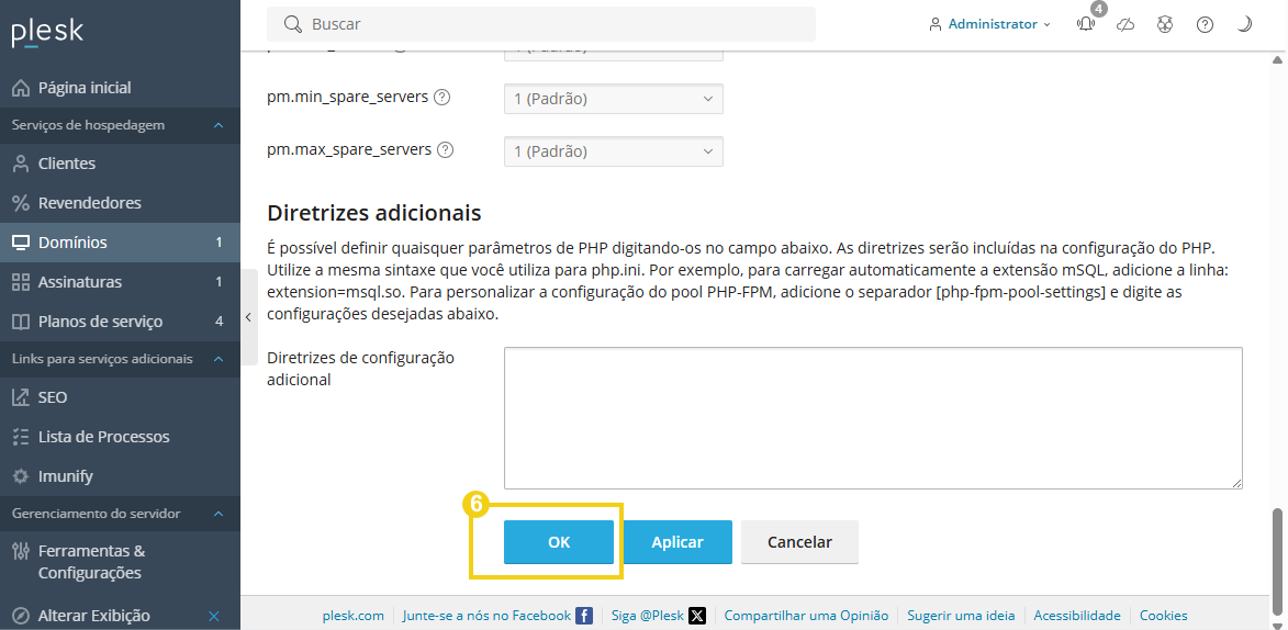 Imagem destaca botão "OK" para confirmar configurações no painel Plesk