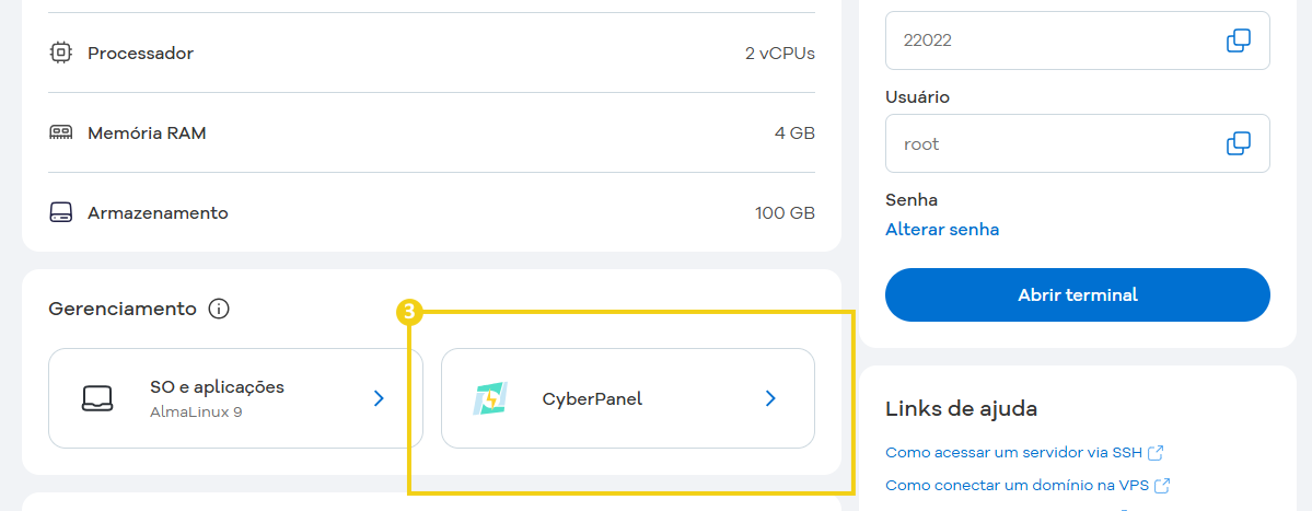 Imagem mostra a tela de gerenciamento do plano e para acessar o painel deve-se clicar em CyberPanel