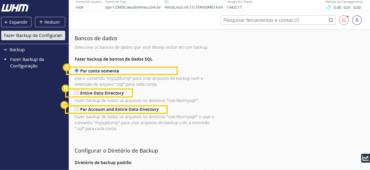 Imagem mostra campos para seleção de backups do MySQL, destacando as opções por conta somente, entire data directory ou per account and entire data directory