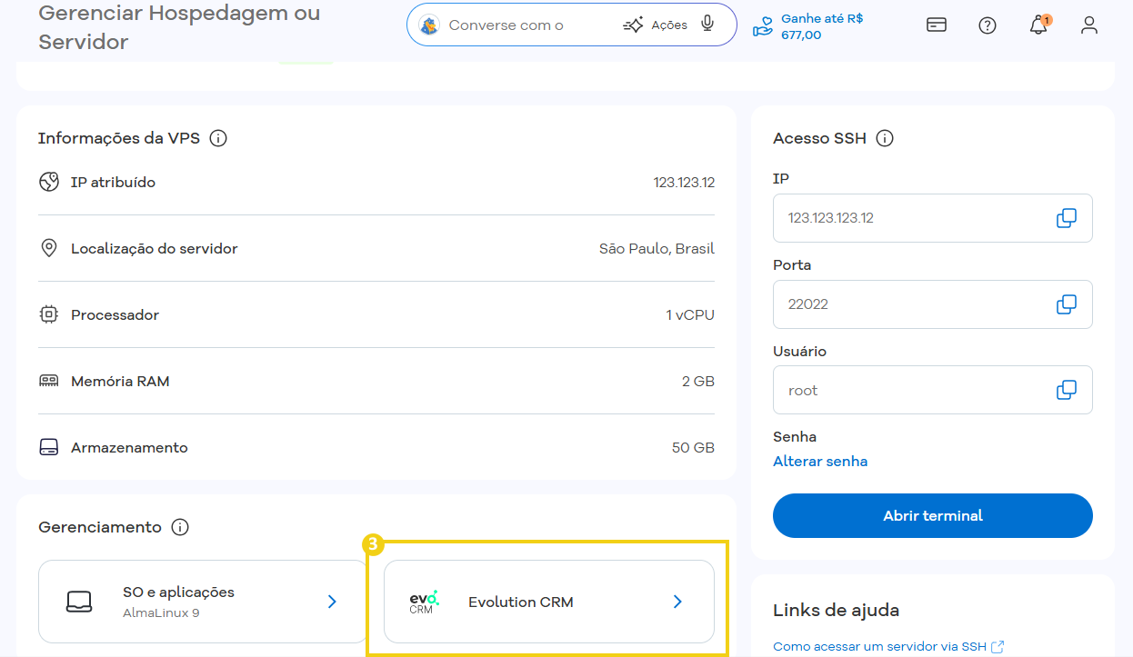 Imagem mostra portal do cliente da HostGator, na área de gerenciamento de hospedagens e servidores, destacando opção "Evolution CRM"