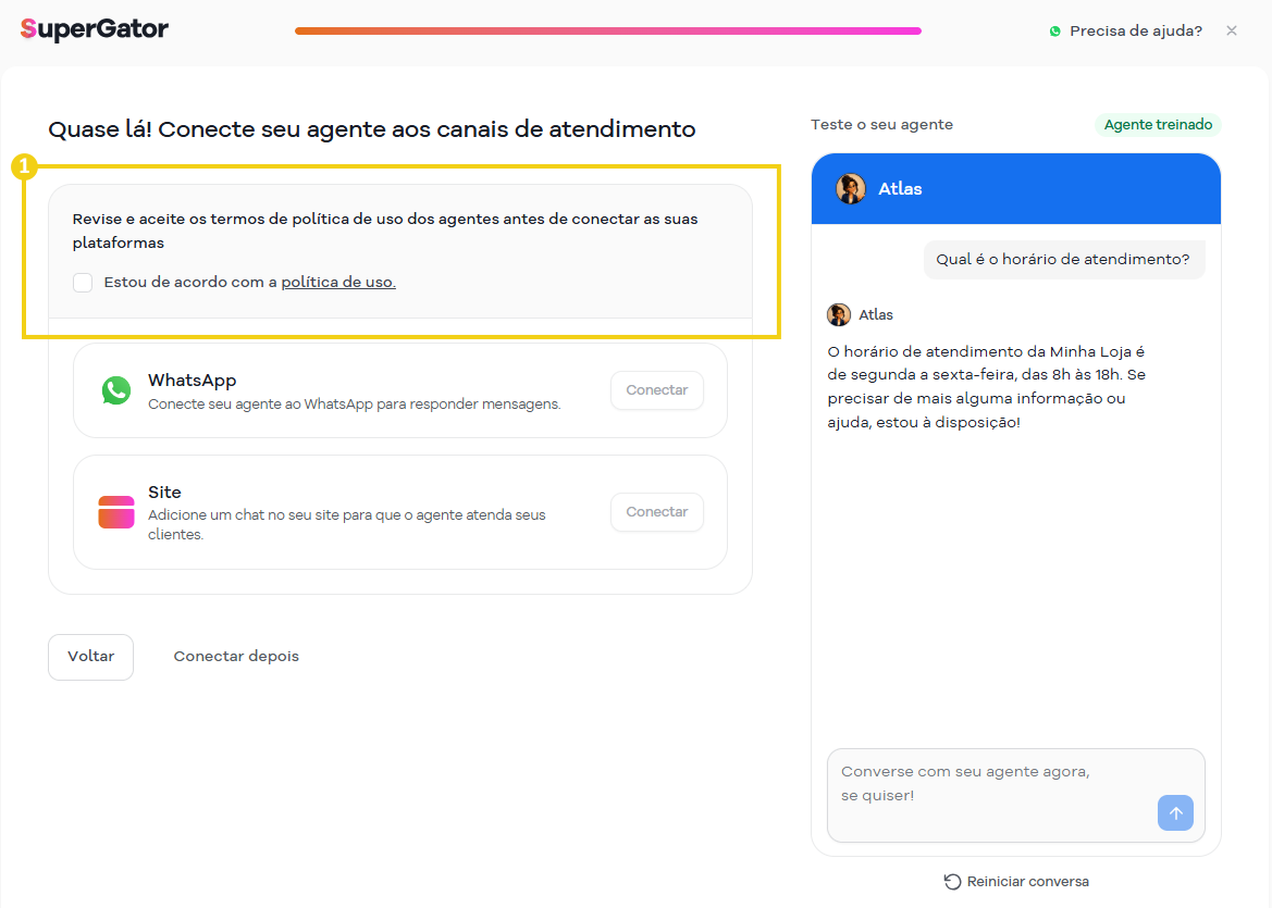 Imagem mostra a tela com o campo para aceitar a política de uso