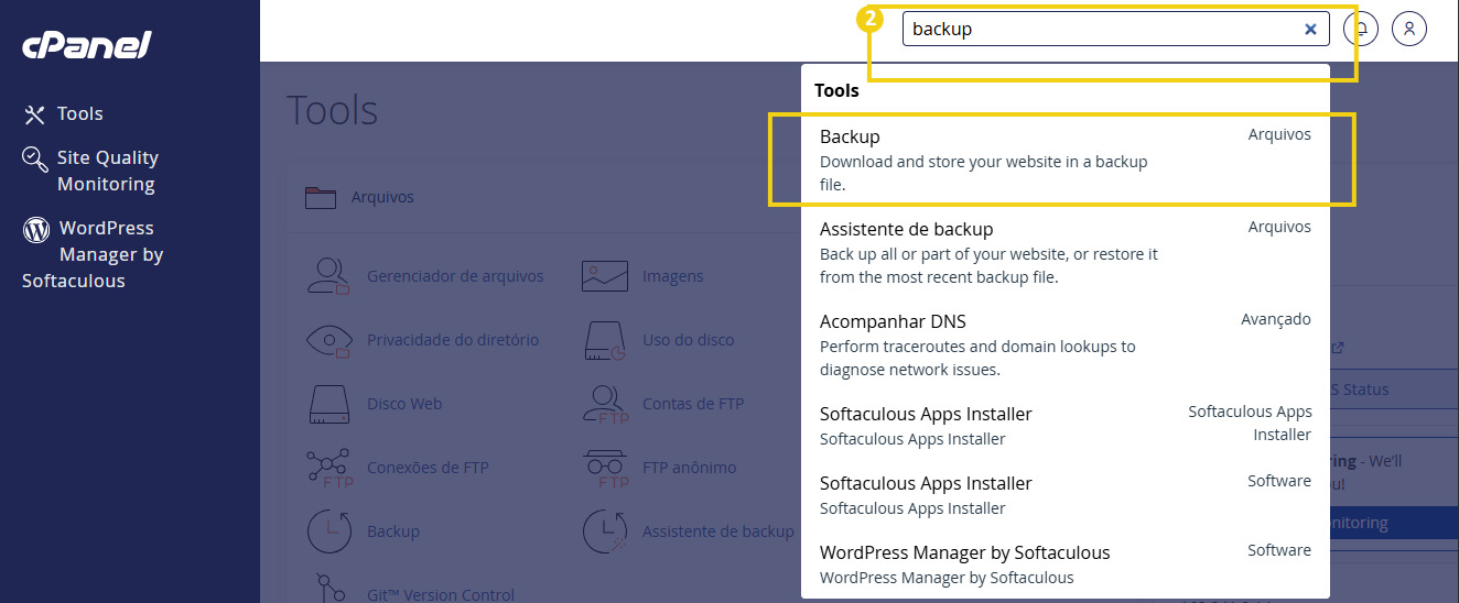 Tela de painel administrativo exibindo o menu Tools e a seção Backup, com assistente de backup e opções como arquivos, DNS e instalador de Apps Installer (Softaculous)