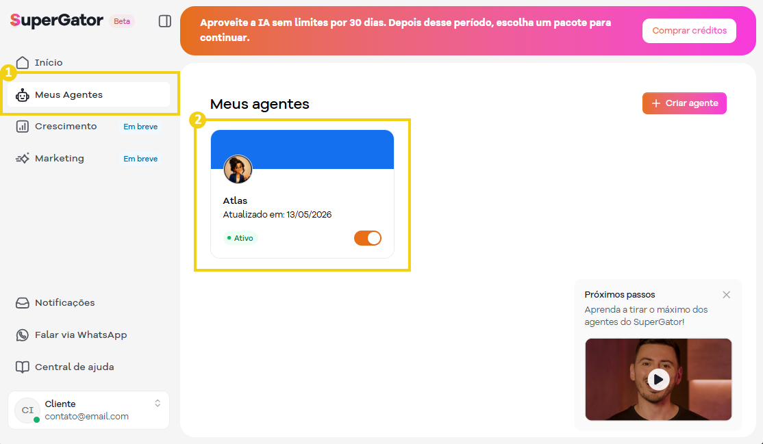 Imagem mostra a tela do painel SuperGator acessando os agentes já criados