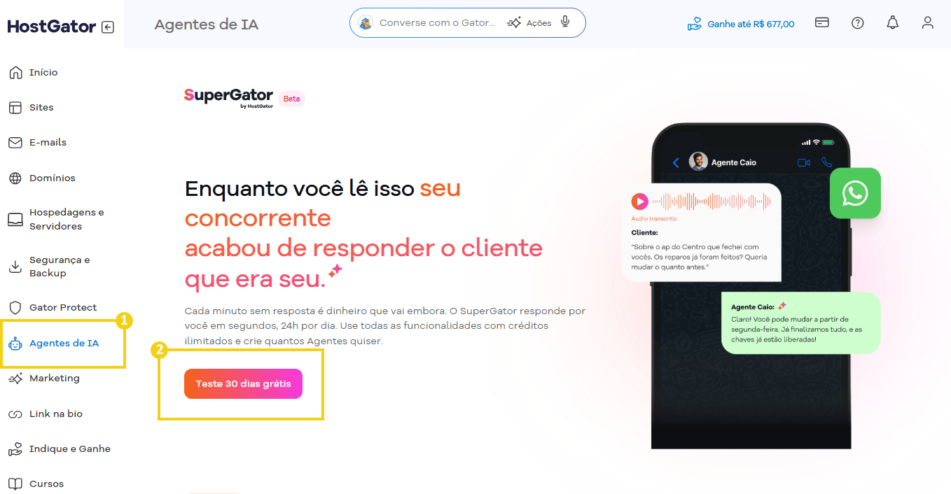Imagem mostra a tela do Portal do Cliente com o acesso ao fluxo do SuperGator