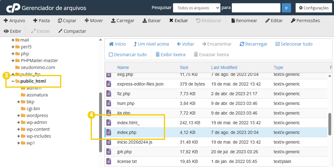 Imagem mostra a tela do cPanel com a marcação nas possíveis pastas e arquivos que contém o conteúdo do site