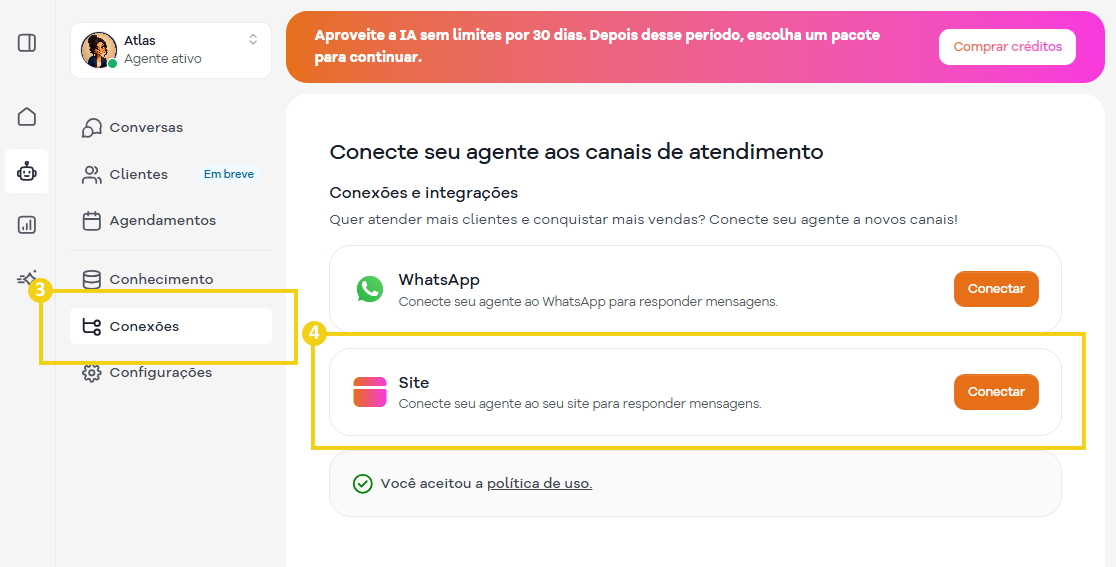 Imagem de uma tela de conexão de canais de atendimento ao cliente em um painel de gerenciamento de um sistema de suporte, mostrando opções de conexão via WhatsApp e site.