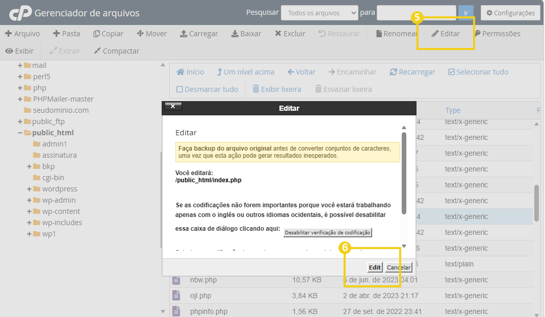 Imagem mostra a tela do cPanel com a abertura de edição do arquivo