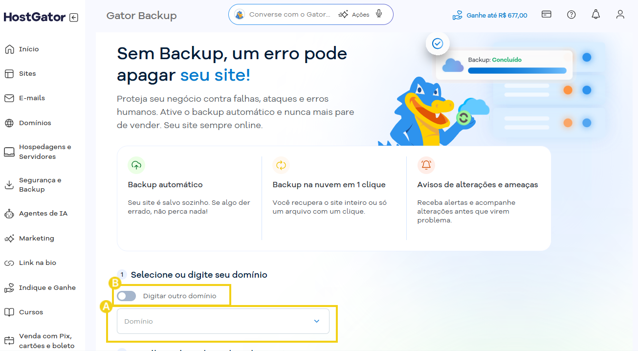 Imagem da página "Gator Backup" solicitando o preenchimento do campo "Domínio" e destacando a opção "digitar outro domínio"