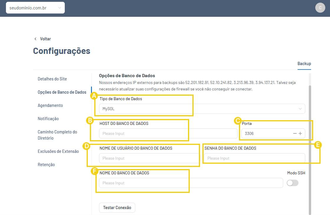 Imagem mostra dados a serem preenchidos para conexão do banco de dados no Gator Backup