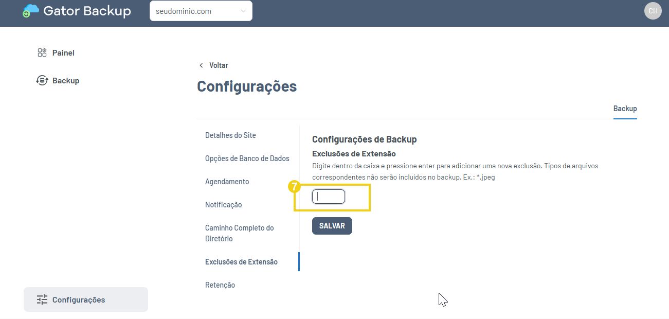 Imagem do campo onde deve ser escrito a extensão