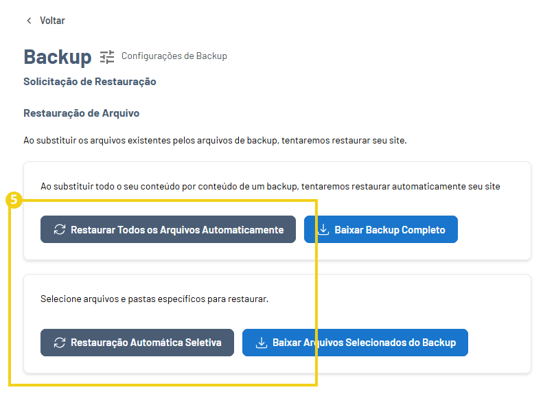 Imagem mostra a tela do Gator Backup com a marcação nos botões "Restaurar todos os arquivos automaticamente" e "Restauração automática seletiva"