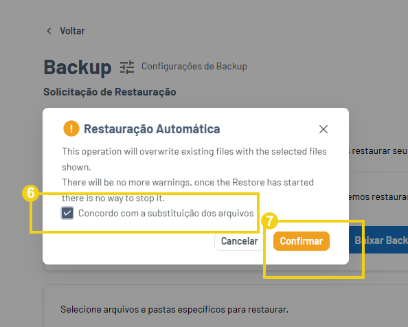 Imagem mostra a tela do Gator Backup com a marcação na mensagem sobre a substituição dos arquivos e depois em confirmar