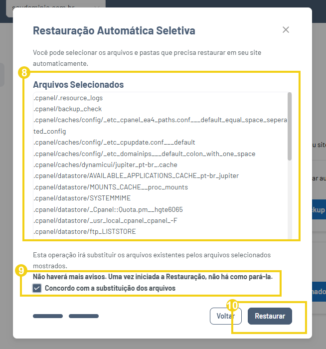 Imagem mostra a tela do Gator Backup com a marcação no quadro para conferir os arquivos, confirmar a ciência da substituição dos arquivos e depois no botão "Restaurar"