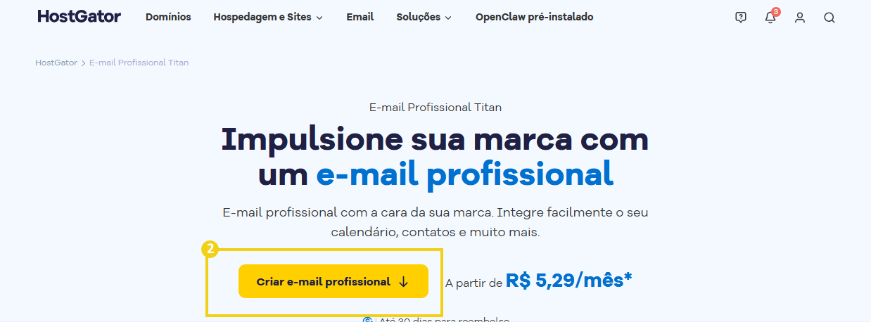 Imagem da tela de e-mails, destacando botão "criar e-mail profissional"