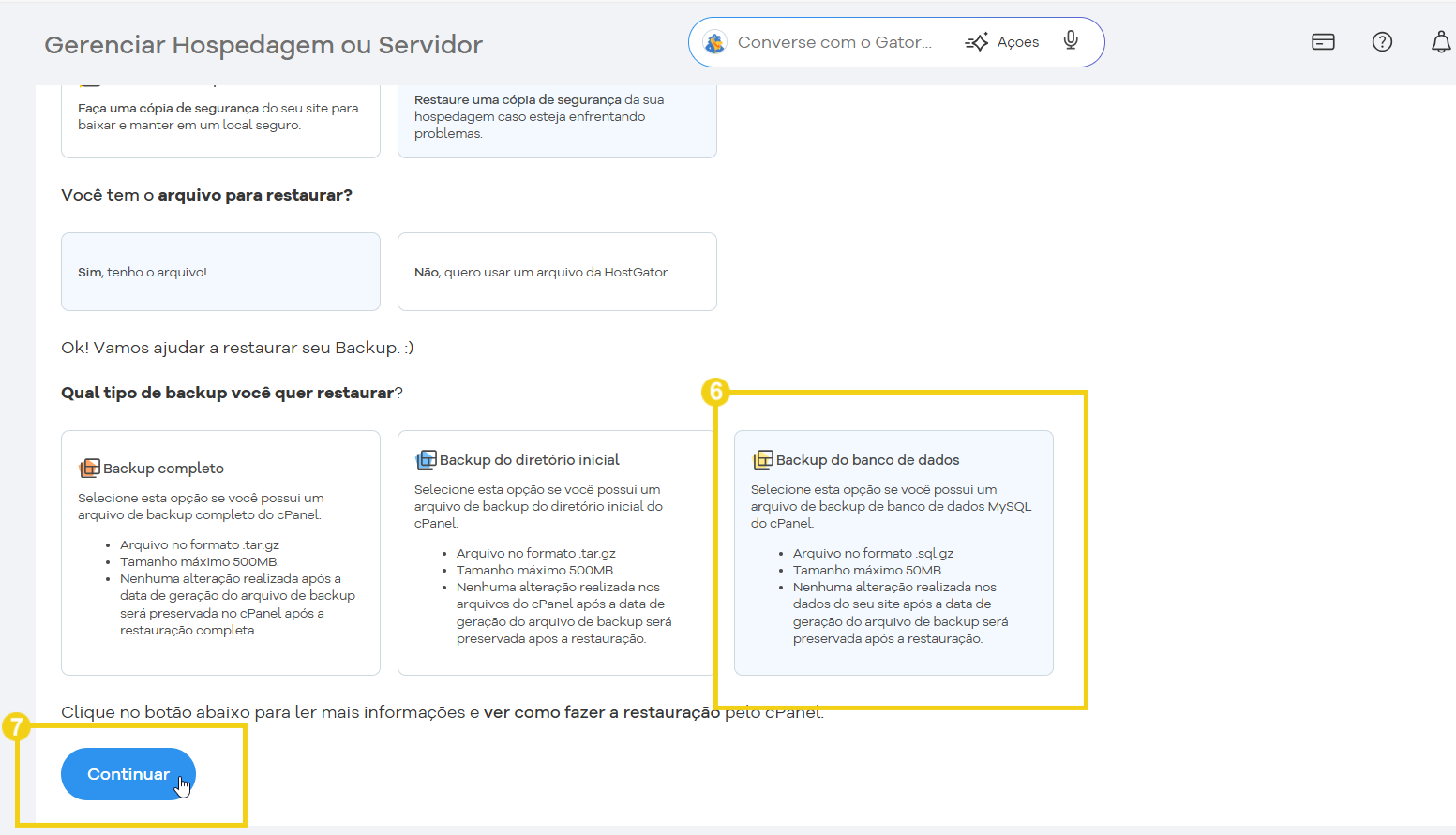 Tela de gerenciamento de backups com a opção "backup do banco de dados" e "Continuar" em destaque