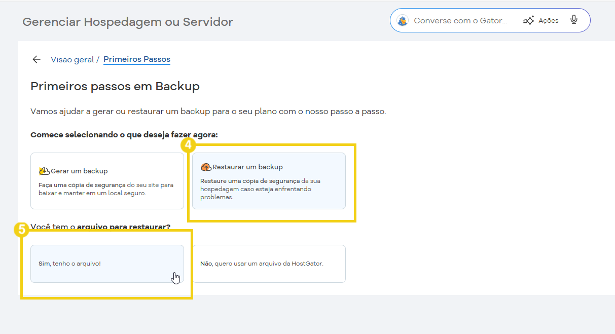 gerenciar-backup-hospedagem-servidor