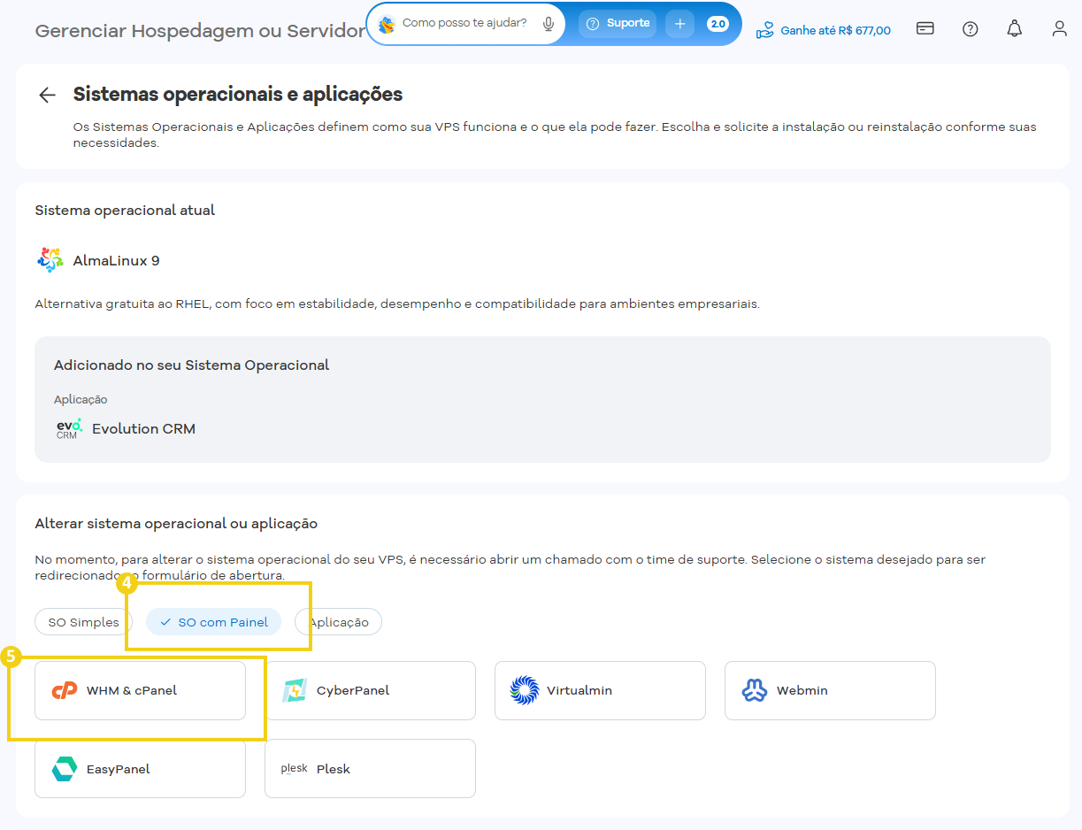 A imagem mostra o painel de gerenciamento de servidores, destacando  o botão "WHM & cPanel"