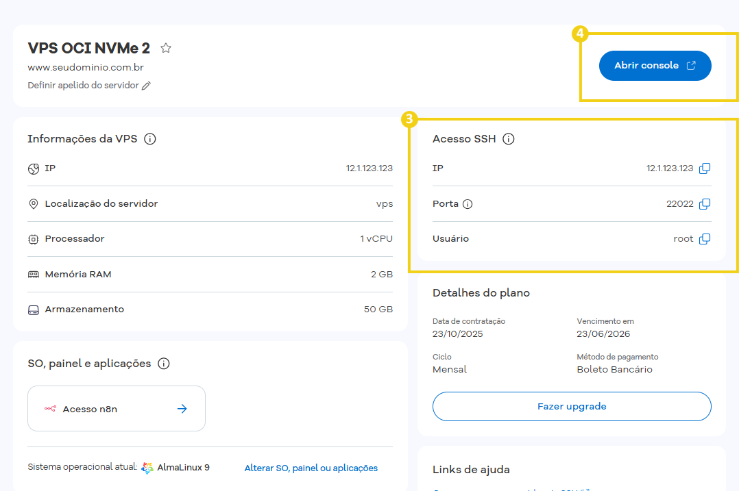 Configuração de VPS para gerenciamento de hospedagem ou servidor em nuvem no painel de controle com detalhes da sessão e opções de administração