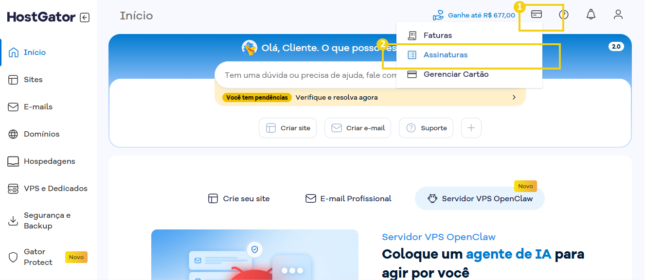 Tela do Portal do Cliente que destaca no menu superior o ícone de cartão de crédito e em seguida Assinaturas