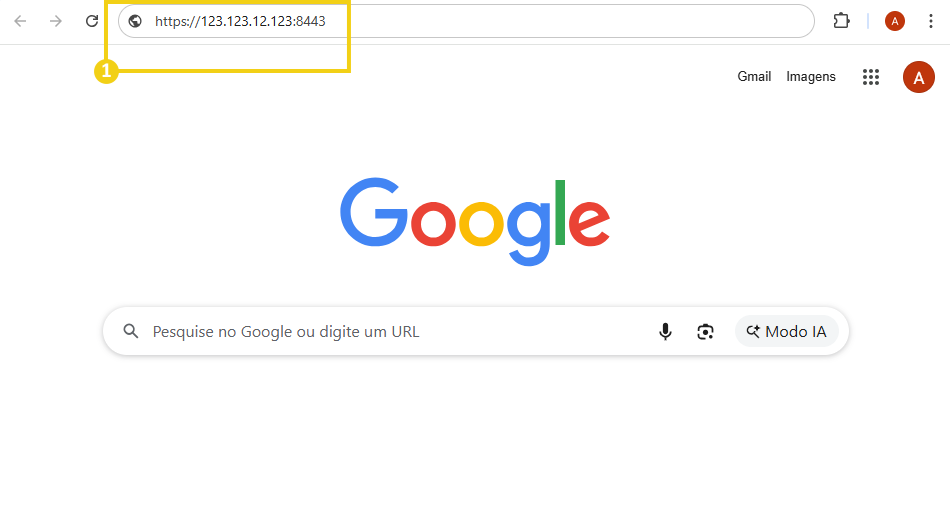 Imagem mostra a tela do navegador com os dados do IP mais o número da porta de acesso 8443