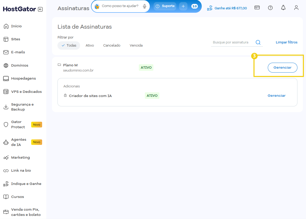 Tela de gerenciamento de listas de assinatura no HostGator, mostrando opções de cadastro e gerenciamento de domínios e plano de assinatura no painel do usuário.