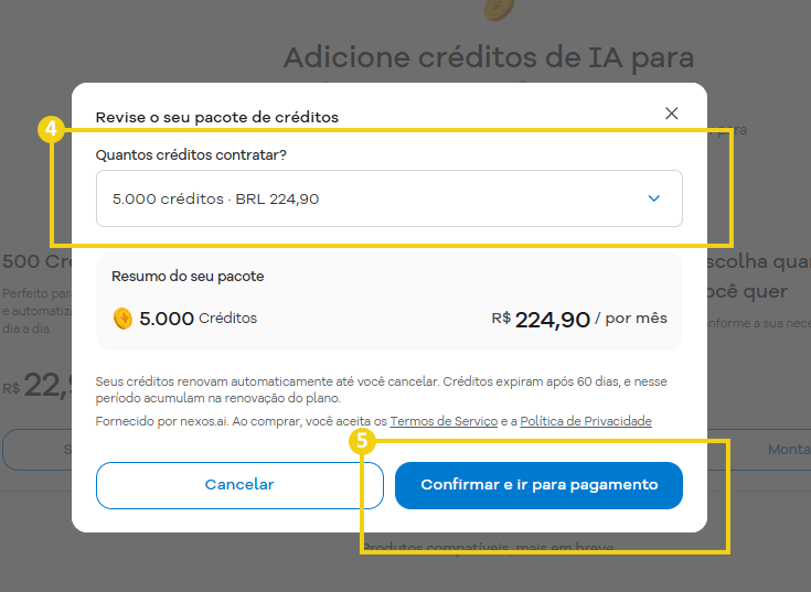 Imagem que mostra a tela para selecionar a quantidade de créditos que deseja e confirmar o pedido para prosseguir para o pagamento