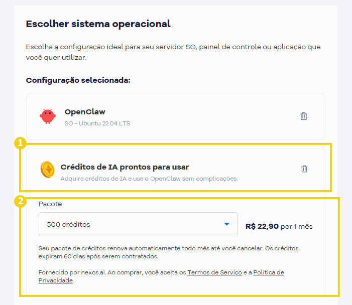 Imagem mostra a tela do site, no carrinho com a disponibilização dos Créditos de IA