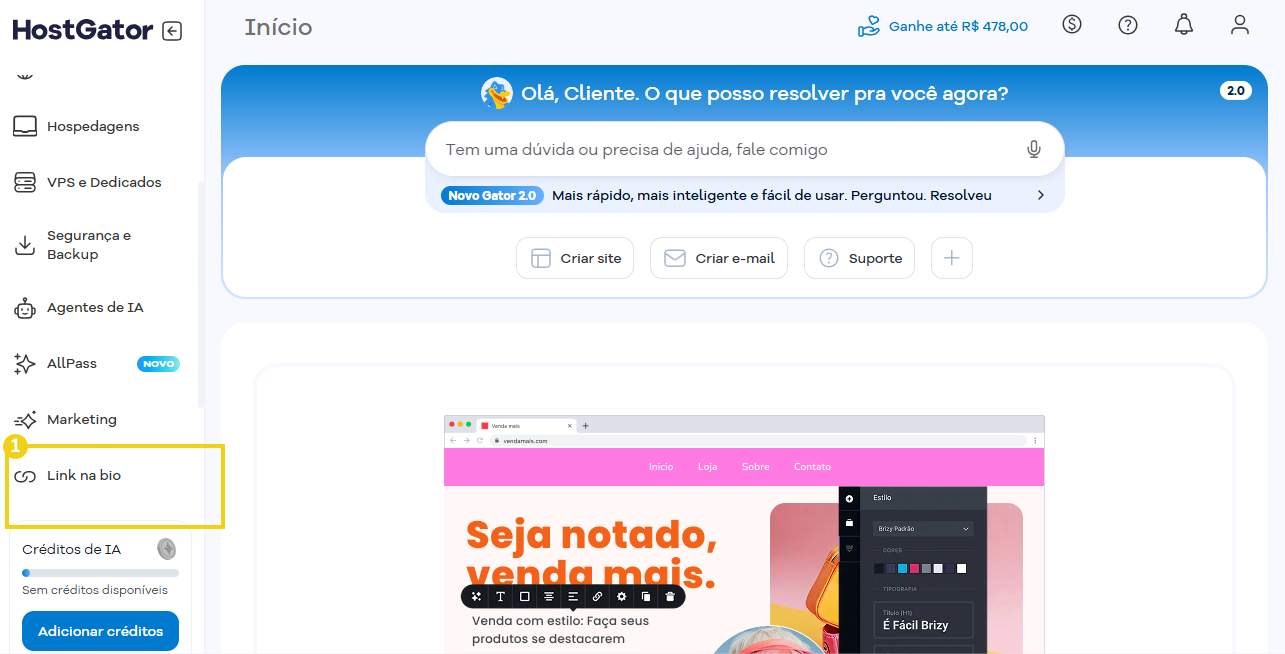 Imagem do Portal do Cliente, destacando a opção Link na bio do menu lateral