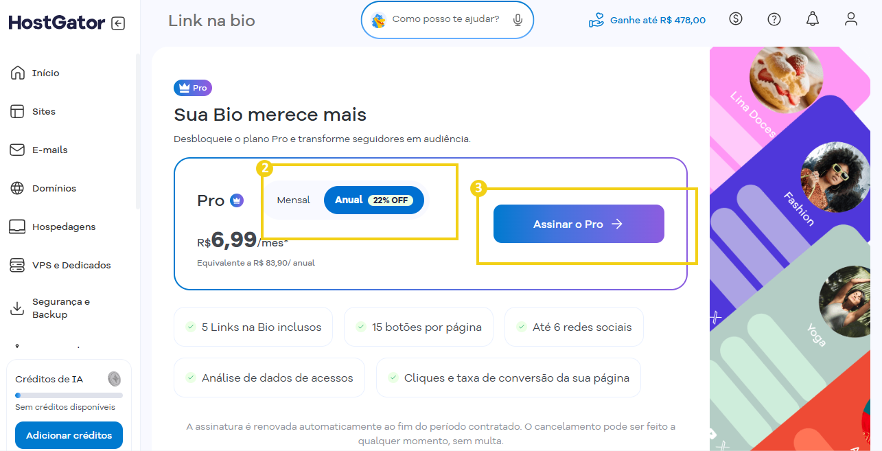 Imagem do Portal do Cliente, mostrando opções para contratação do Link na Bio Pro