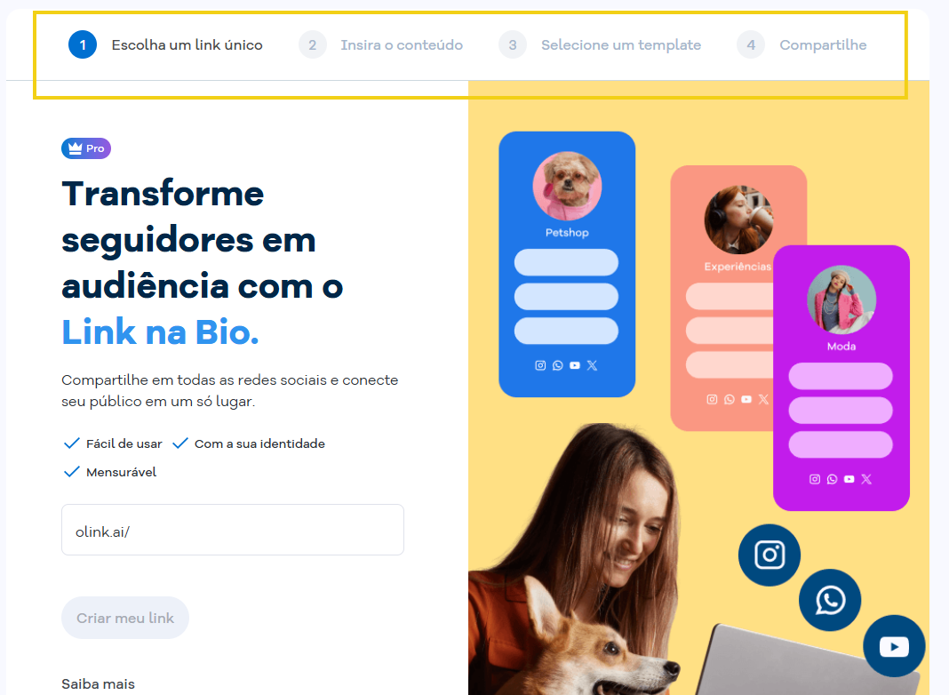 Imagem da tela do Portal do Cliente mostrando as quatro etapas que são exibidas para configuração