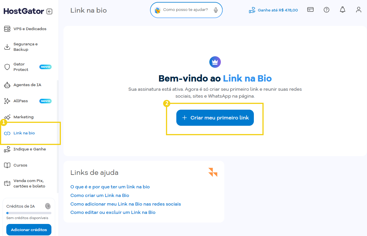 Imagem da tela do Portal do Cliente mostrando o fluxo de acesso a criação do Link na Bio