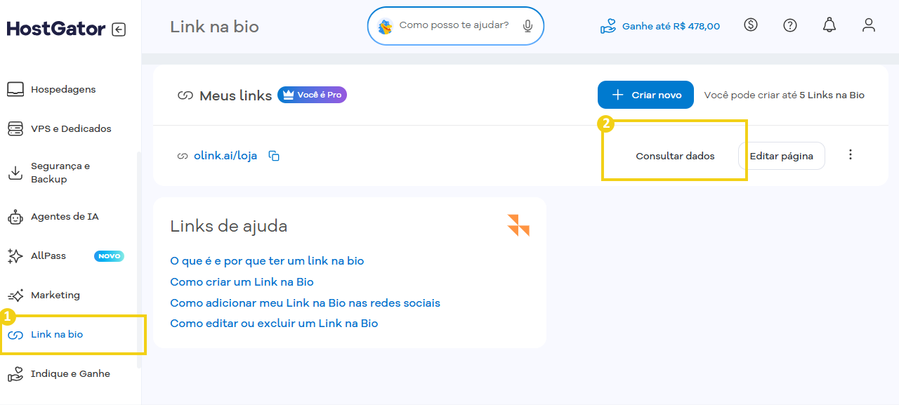 Imagem mostra o Portal do Cliente HostGator, destacando as opções "link na bio" e "consultar dados"