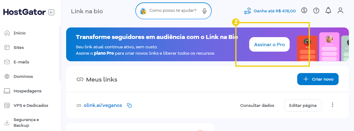Imagem mostra banner do Link na Bio, que destaca a opção "Assinar o Pro"