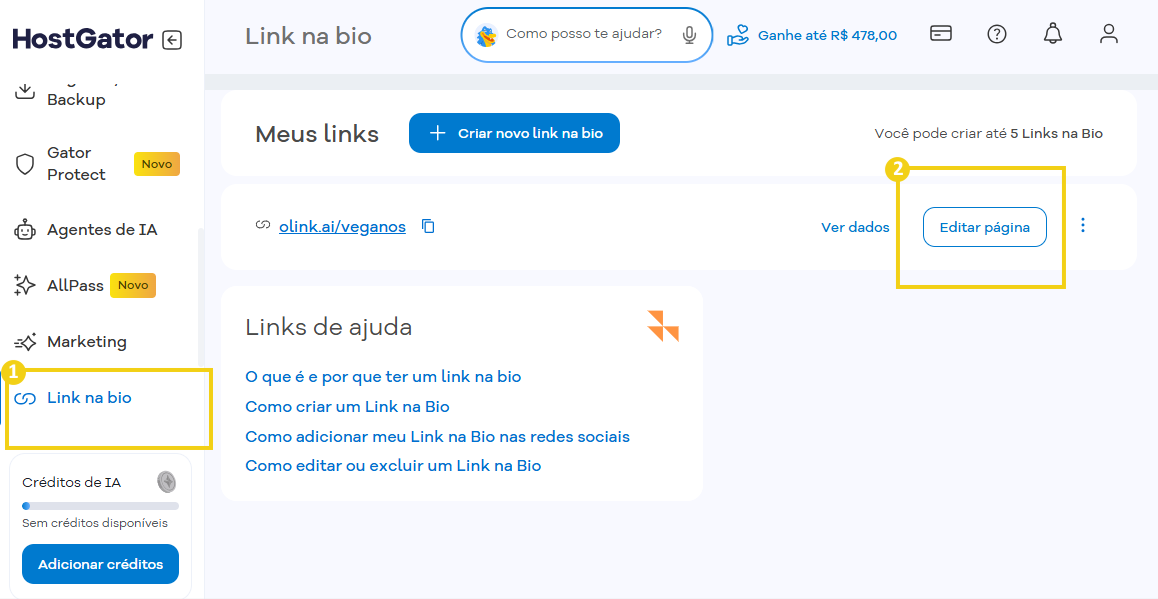 Imagem do Portal do Cliente HostGator, na página "Link na bio"