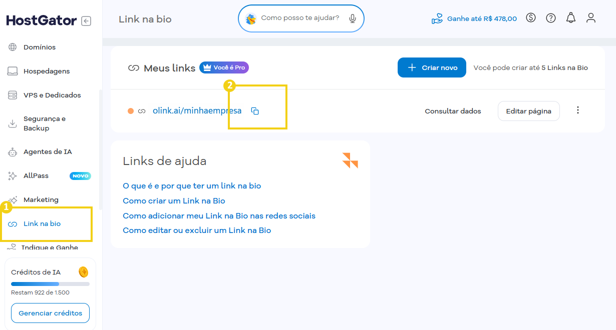 Imagem mostra Portal do Cliente da HostGator, destacando a opção do menu lateral esquerdo "link na bio" e opção "copiar link"