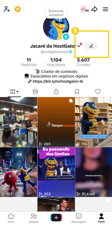 Imagem mostra perfil do TikTok aberto, destacando o ícone lápis para edição do perfil