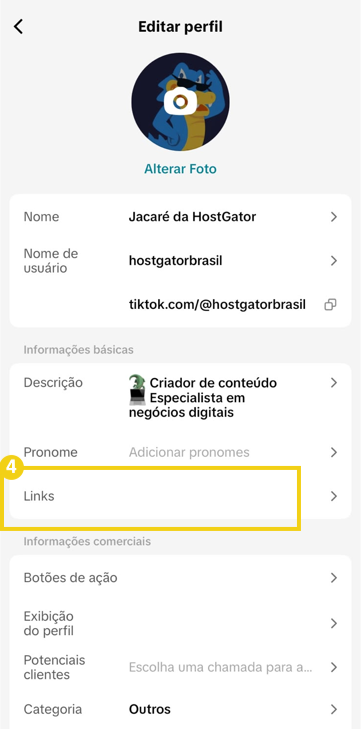 Imagem do perfil do TikTok, destacando opção "Links"