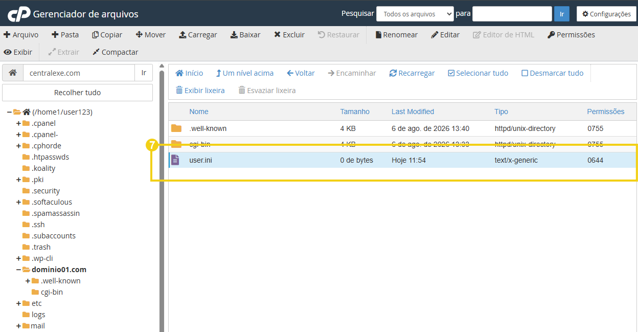 Imagem do gerenciador de arquivos cPanel com o arquivo user.ini destacado