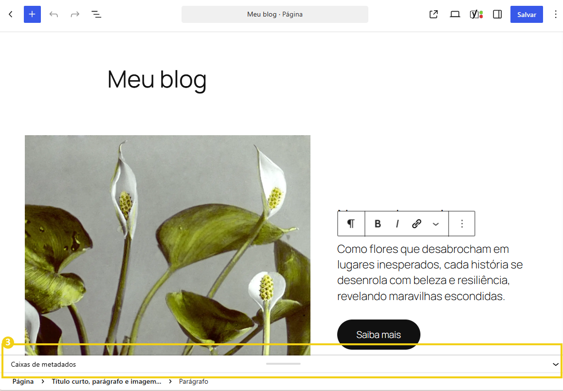 Seção "Caixas de metadados" destacada na edição de uma página do WordPress