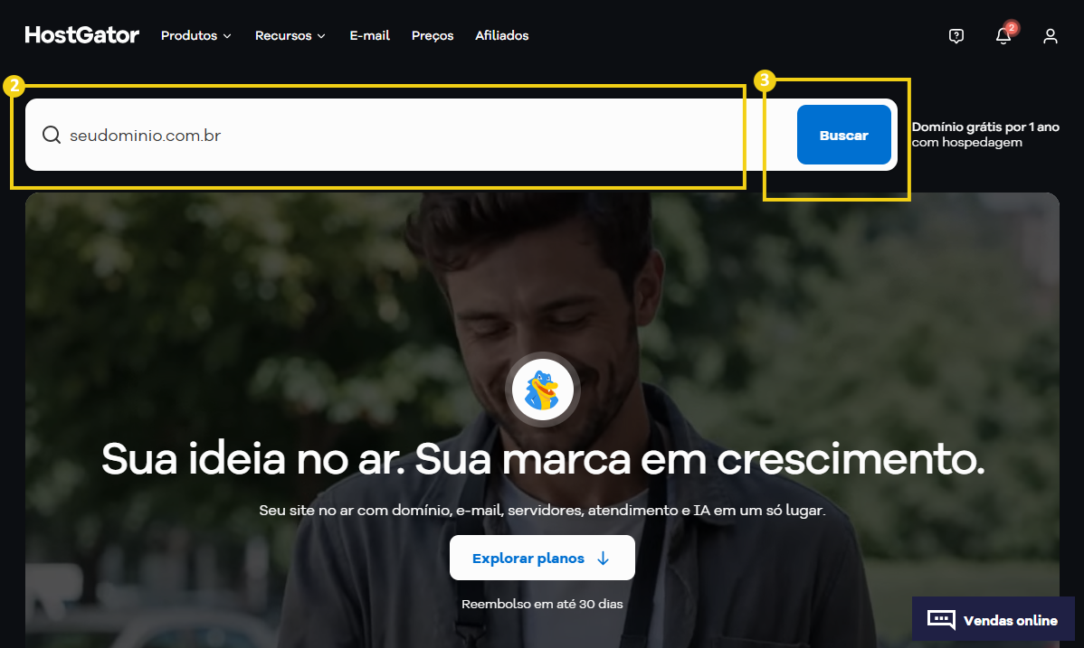 2-dominio-buscar.png