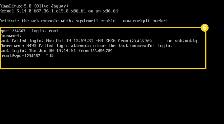 Imagem do terminal do console exibindo a tela de acesso ao servidor após o login com sucesso