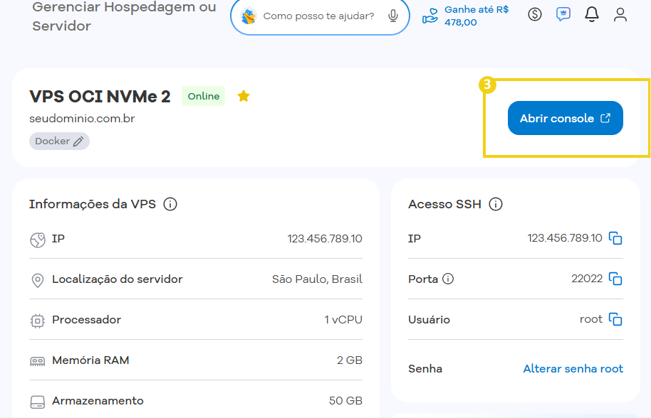 Imagem da tela de gerenciamento da VPS destacando o botão Abrir console